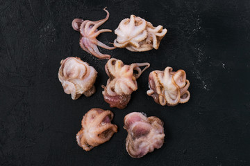 Small frozen octopus on black background