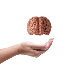 Hand holding human brain ready to give to others. Organ Donations concept.