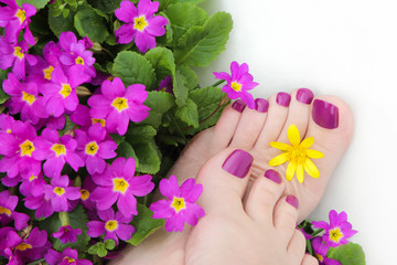Beautiful purple pedicure on women's feet with flowers on a white background.