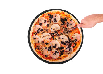 The chef cuts the pizza with a pizza cutter. Tasty pizza with ham, mozzarella, mushrooms and olives on a slate black platter, isolated on white background
