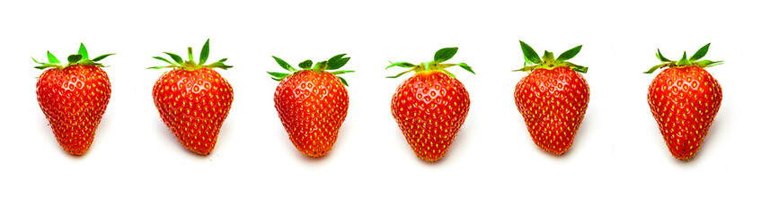 Erntefrische Erdbeeren in einer Reihe isoliert auf weissem Hintergrund