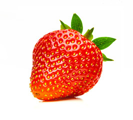 Erntefrische Erdbeeren isoliert auf weissem Hintergrund