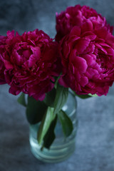 
bouquet of burgundy peonies