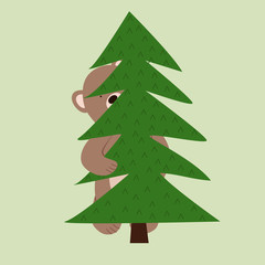 Funny little bear cub hiding peeks out from behind the tree.