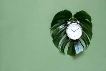 Creative minimalistic composition with an alarm Clock on a monstera sheet. Time to love.