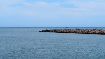 Obraz premium OLYMPUS DIGITAL CAMERA