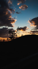 Pôr-do-sol na floresta