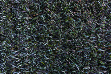 Plastic grass fence. Grey green. Texture.. Close up.