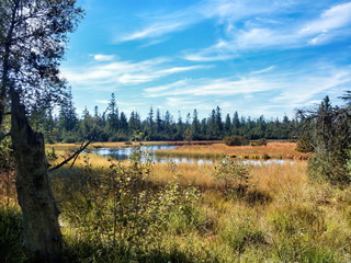 Moorland with a small lake under blue sky