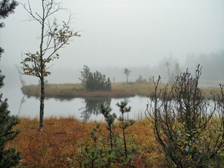 Moorland with a small lake in early fog