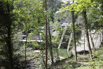 Fototapeta premium Structure of a barrage hidden by trees