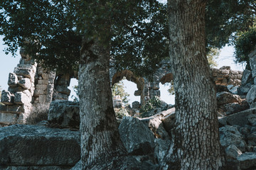Termessos ancient city. Termessos is one of Antalya -Turkey's most outstanding archaeological...