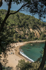playa mediterránea vacía, paraíso entre árboles y aguas verdes turquesas, en calma a primeras horas de la mañana