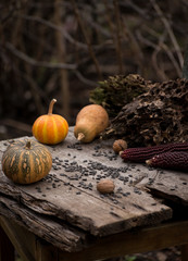 Dark moody outdoor still life with autumn vegetables corns, pumpkins and sunflower seeds on an old wooden table.