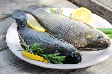 Fresh fish carp on a plate