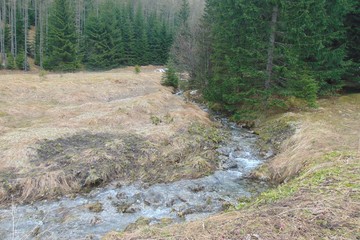 Strumień, potok, u podnóża Kasprowego Wierchu w Tatrach