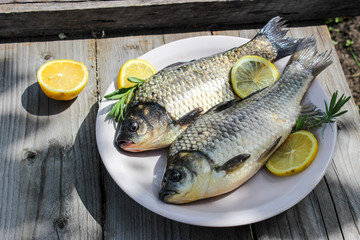 Fresh fish carp on a plate