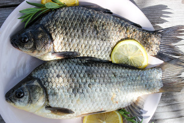 Fresh fish carp on a plate