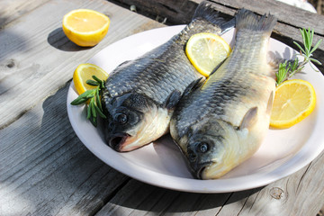 Fresh fish carp on a plate