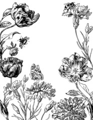 Peony, dahlia, carnation and tulip hand-drawn engraving illustration.