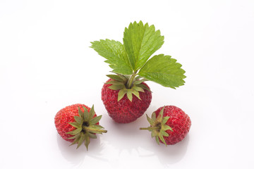 Strawberries with leaves. Isolated on a white background.