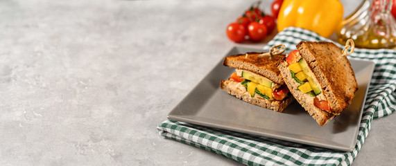 Homemade vegan sandwiches in a plate on grey background