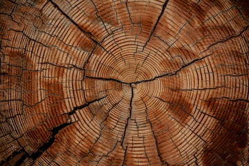 image of wooden stub background 