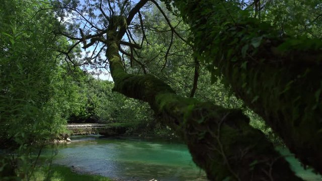 Three clips about springs of Livenza river, in Polcenigo, Italy.