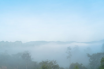 Relax bright morning and ease your eyes, Mist and clouds covered the morning mountains on the Narathiwat mountain, Thailand time lapse 4k.