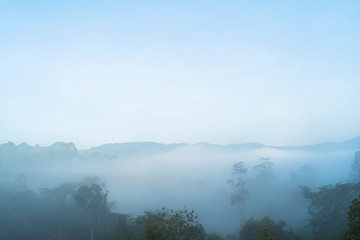 Obraz na płótnie Canvas Relax bright morning and ease your eyes, Mist and clouds covered the morning mountains on the Narathiwat mountain, Thailand time lapse 4k.