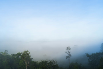 Obraz na płótnie Canvas Relax bright morning and ease your eyes, Mist and clouds covered the morning mountains on the Narathiwat mountain, Thailand time lapse 4k.