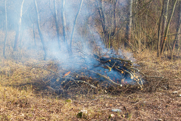 Obraz premium Burning trimmings and wood from the cut forest.