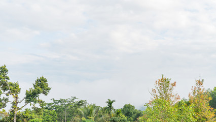 Obraz premium Mountain range with visible silhouettes through the morning colorful fog, Bright and enjoy your eye with the sky refreshing in Phuket Thailand.