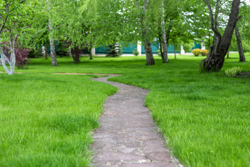 Fototapeta na wymiar track in the backyard green lawn