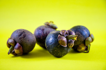 Ripe mangosteen in yellow background