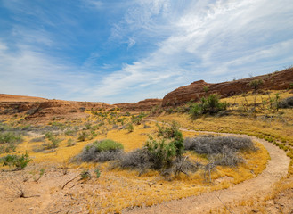 Beautiful along the famous White Owl Canyon trail