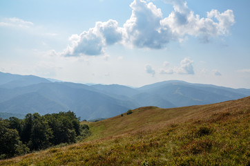 Fototapeta premium Amazing view of peaceful intact nature on a sunny autumn day in the countryside with Carpathian mountains in the back and old grass on the ground