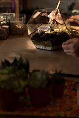 Girl Making Florarium