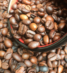 full bowl of roasted large coffee beans, coffee beans texture background