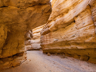 Beautiful along the famous White Owl Canyon trail