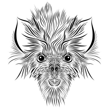 abstract shaggy head of a tattoo of a wolf and a mythical animal with big ears of black color on a white background