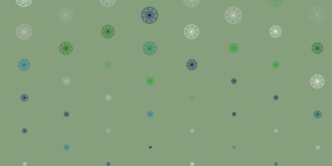 Light green vector natural layout with flowers.