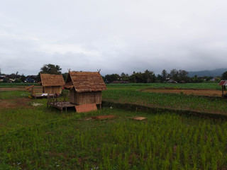 cottage rural landscape with field
