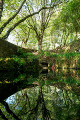 View of the park of Palazzo Pena.
