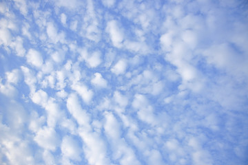 Fototapeta na wymiar Beautiful clouds in the sky on a clear day.