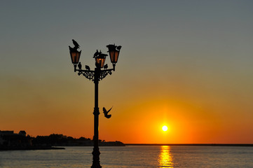 Obraz premium Sevastopol street lights and doves