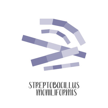 Streptobacillus Moniliformis, pathogen. Rod-shaped, gram-negative bacteria. Morphology. Microbiology. Vector flat illustration