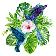 watercolor composition with hummingbirds and tropical plants, green leaves, hibiscus on an isolated white background, hand drawing © Hanna