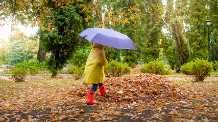 Little boy with umbrella walking over wet auutmn leaves after rain at park