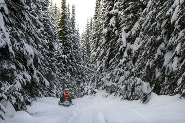 Tourist riding snowmobile in snow, Sun Peaks Resort, Sun Peaks, British Columbia, Canada - 352617769